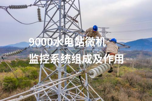 9000水电站微机监控系统组成及作用