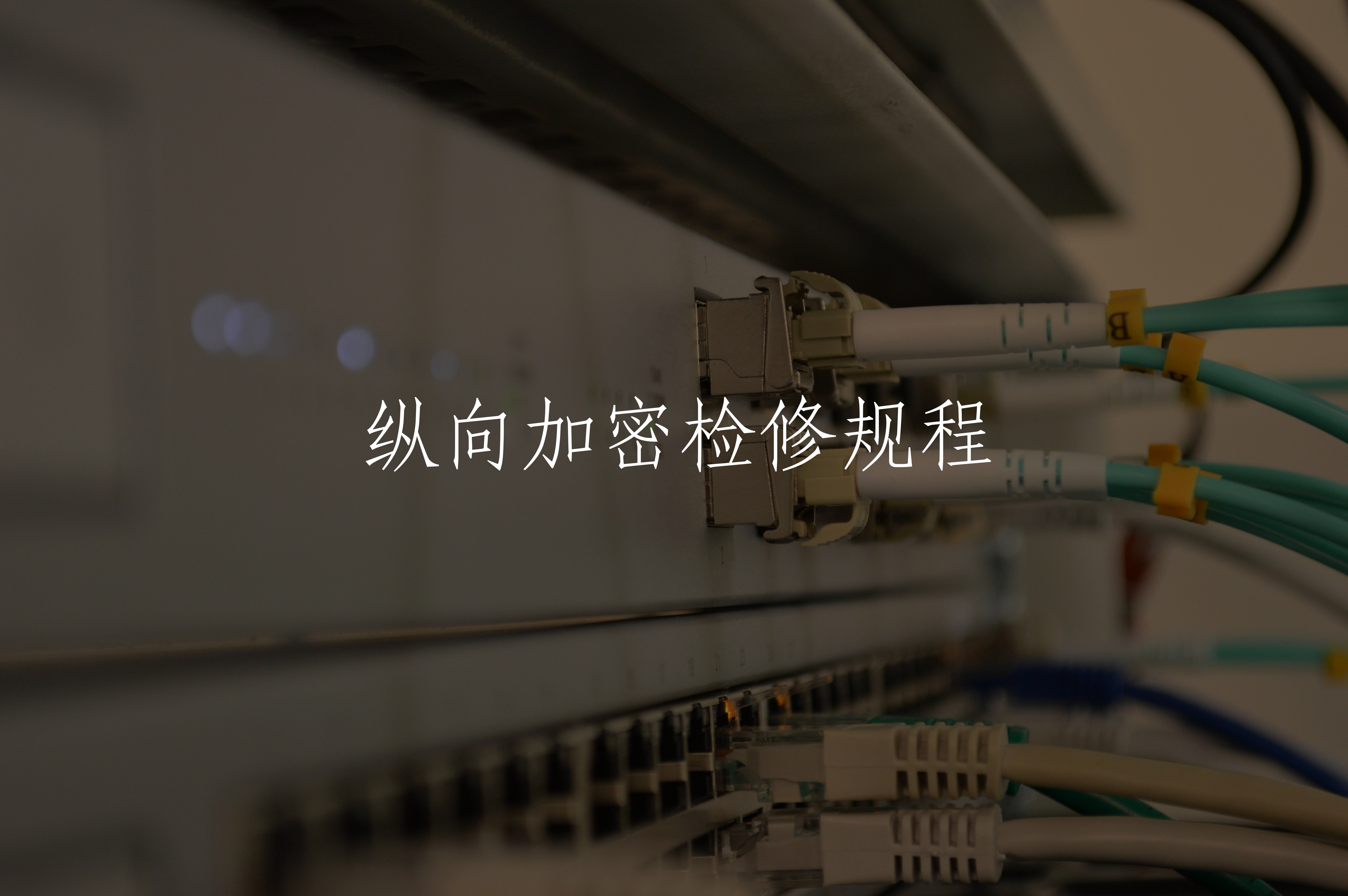 纵向加密检修规程 核心概念图