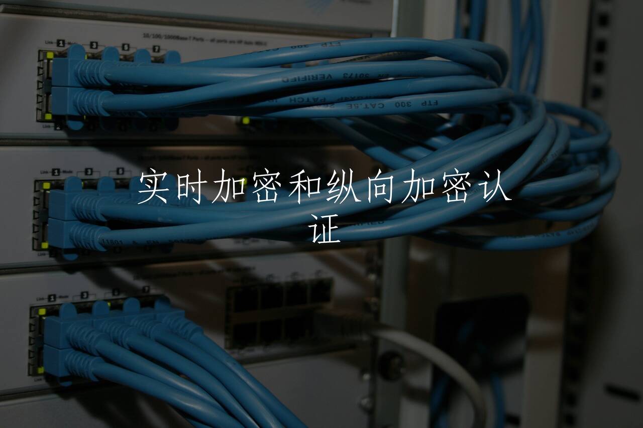实时加密和纵向加密认证 核心概念图