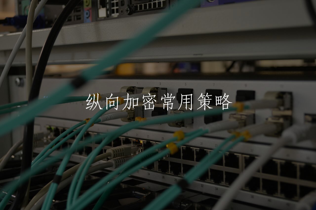 纵向加密常用策略 核心概念图