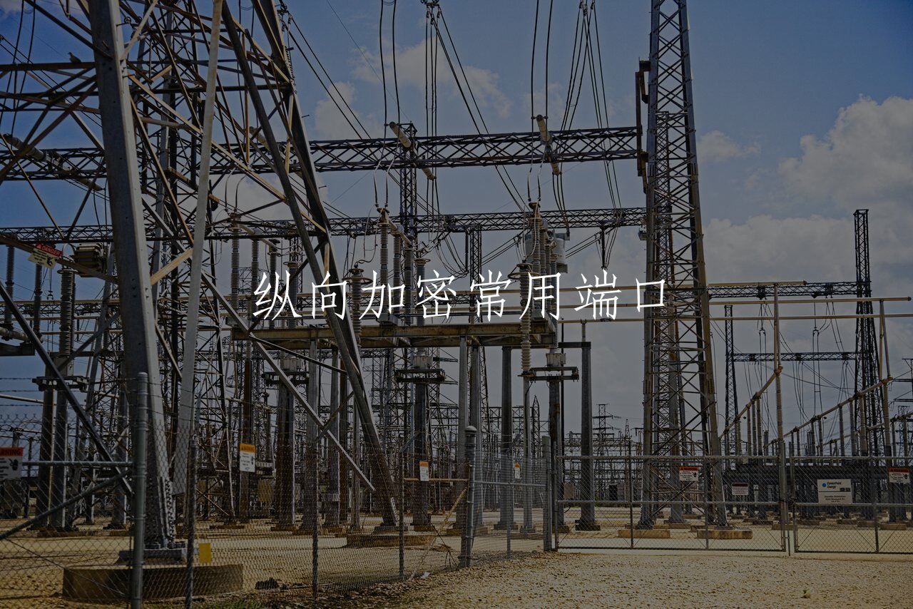 纵向加密常用端口 核心概念图
