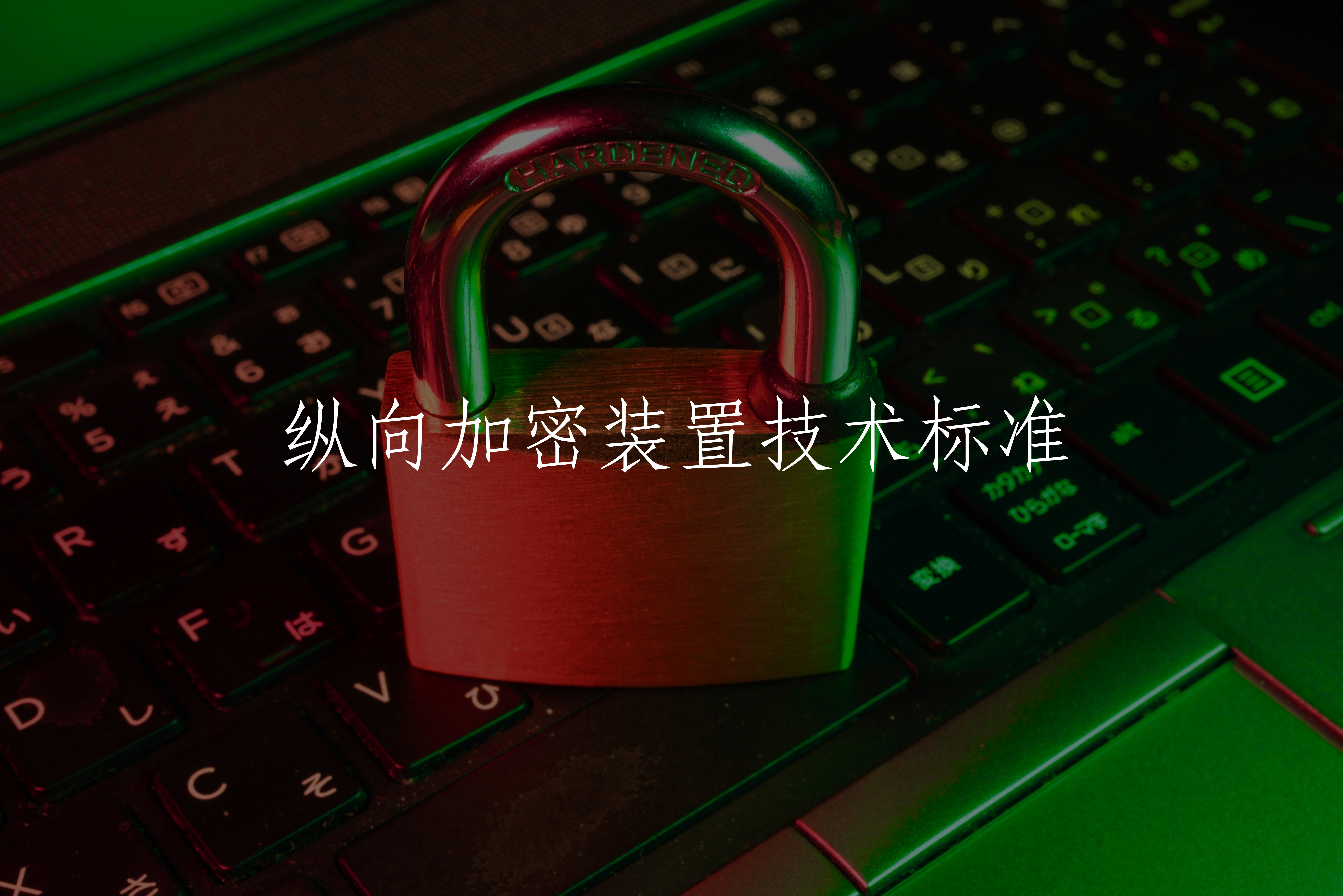 纵向加密装置技术标准 核心概念图