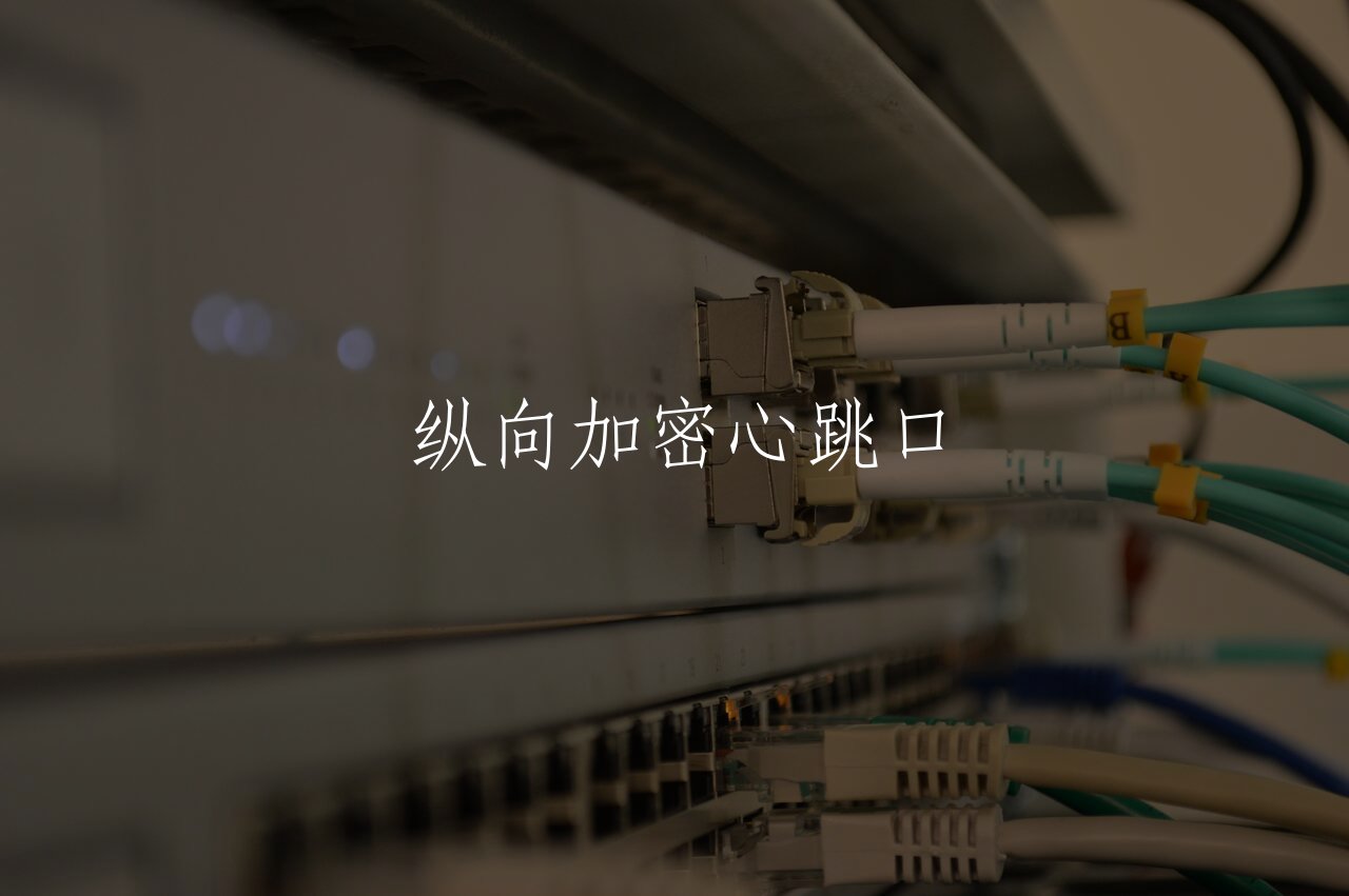 纵向加密心跳口 核心概念图