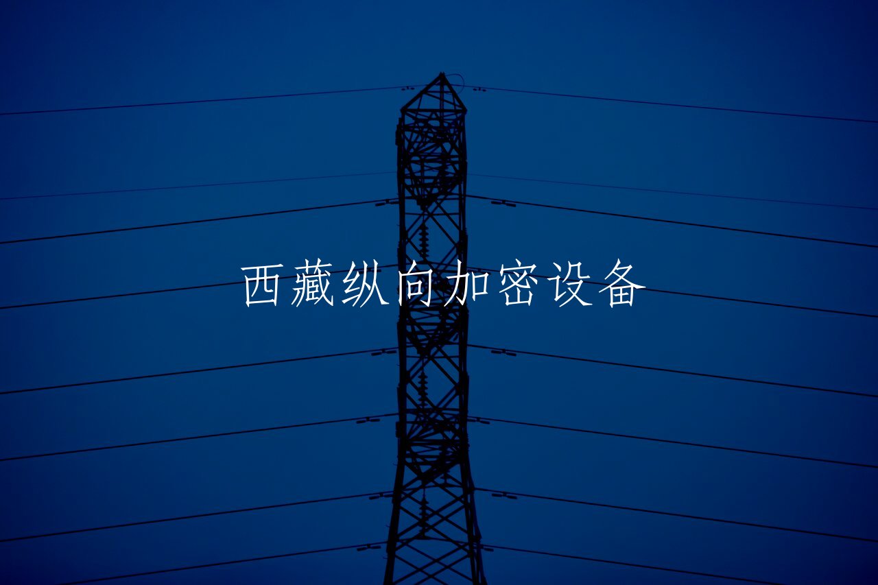 西藏纵向加密设备 核心概念图