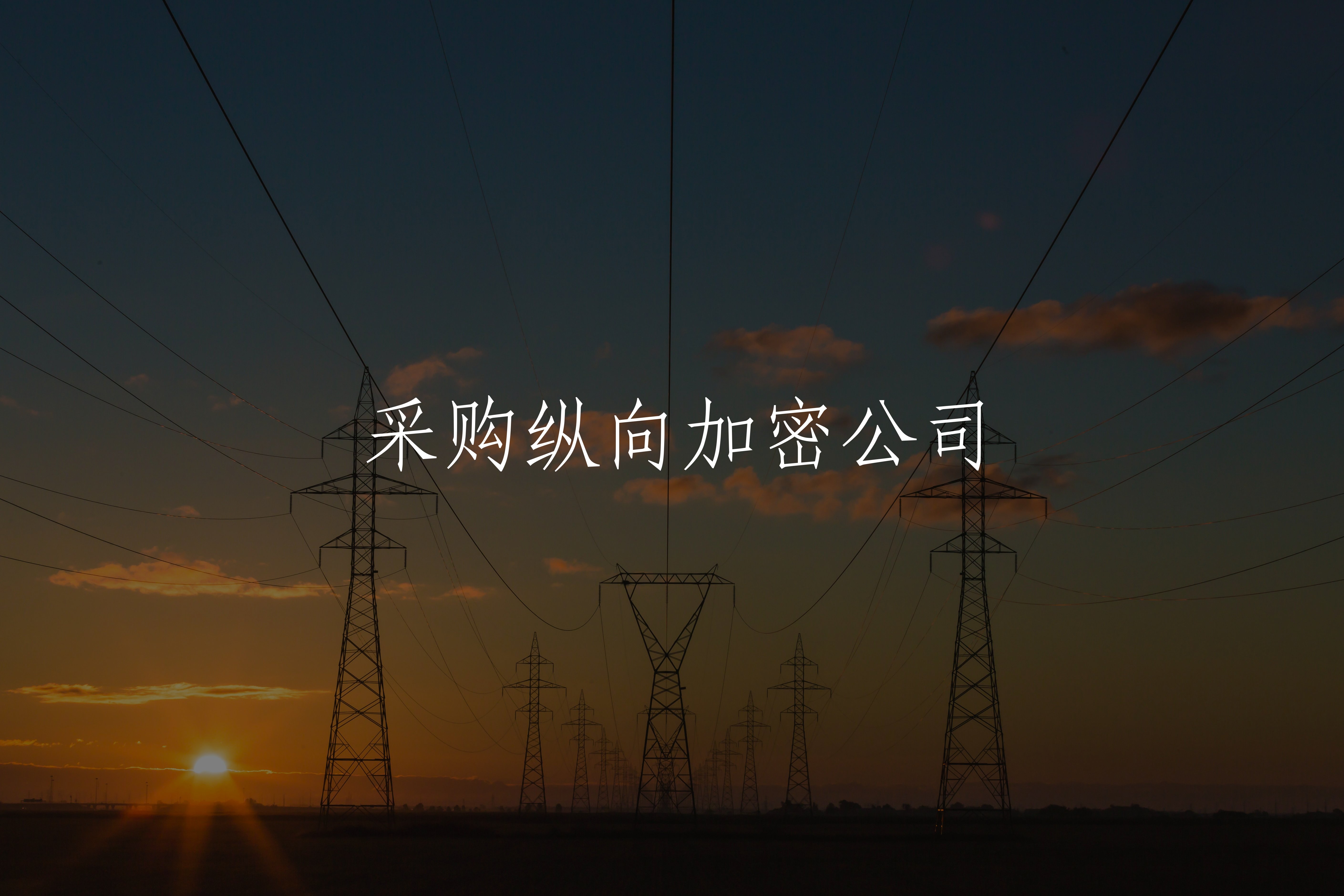 采购纵向加密公司 核心概念图