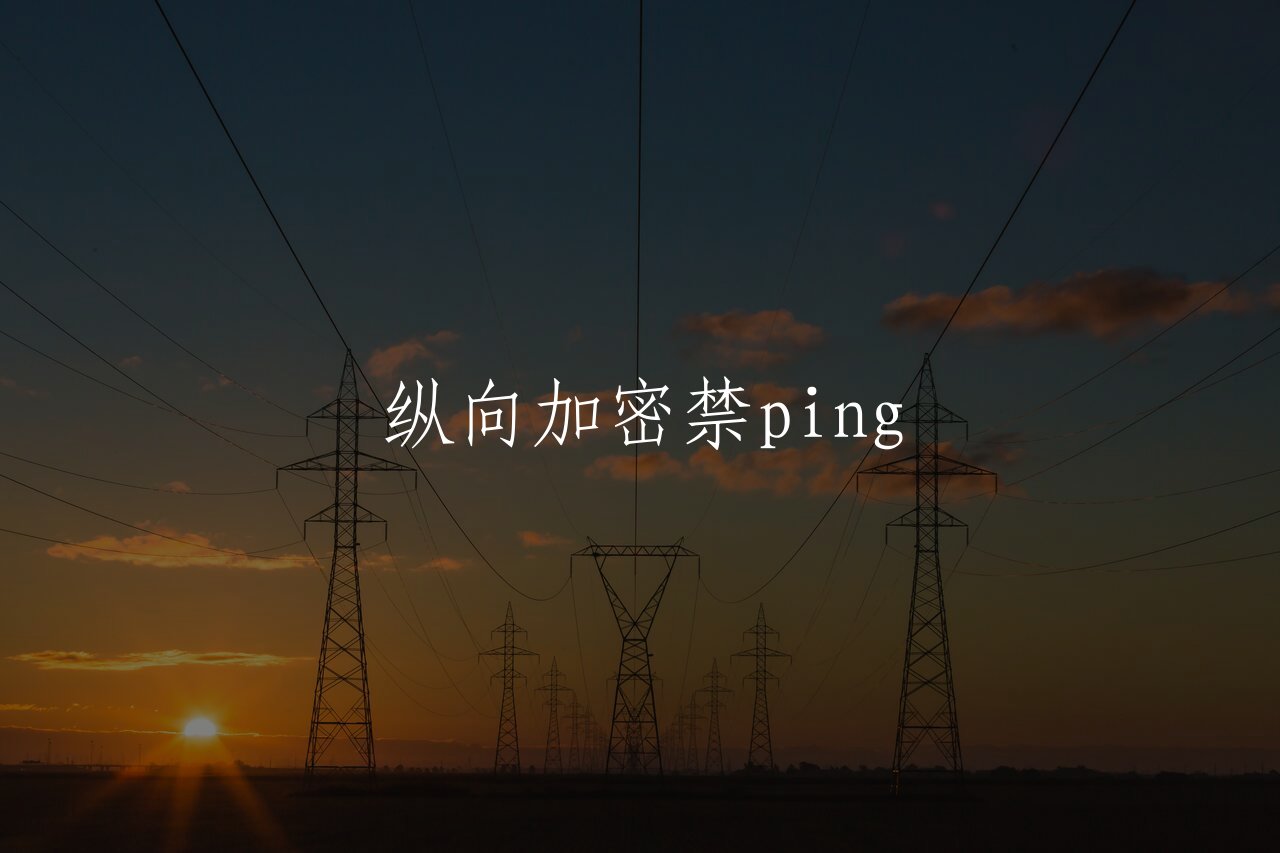 纵向加密禁ping 核心概念图