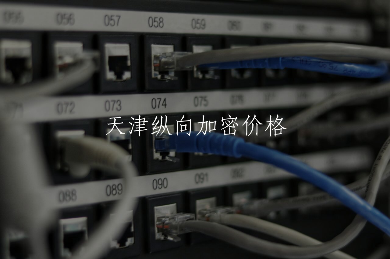 天津纵向加密价格 核心概念图