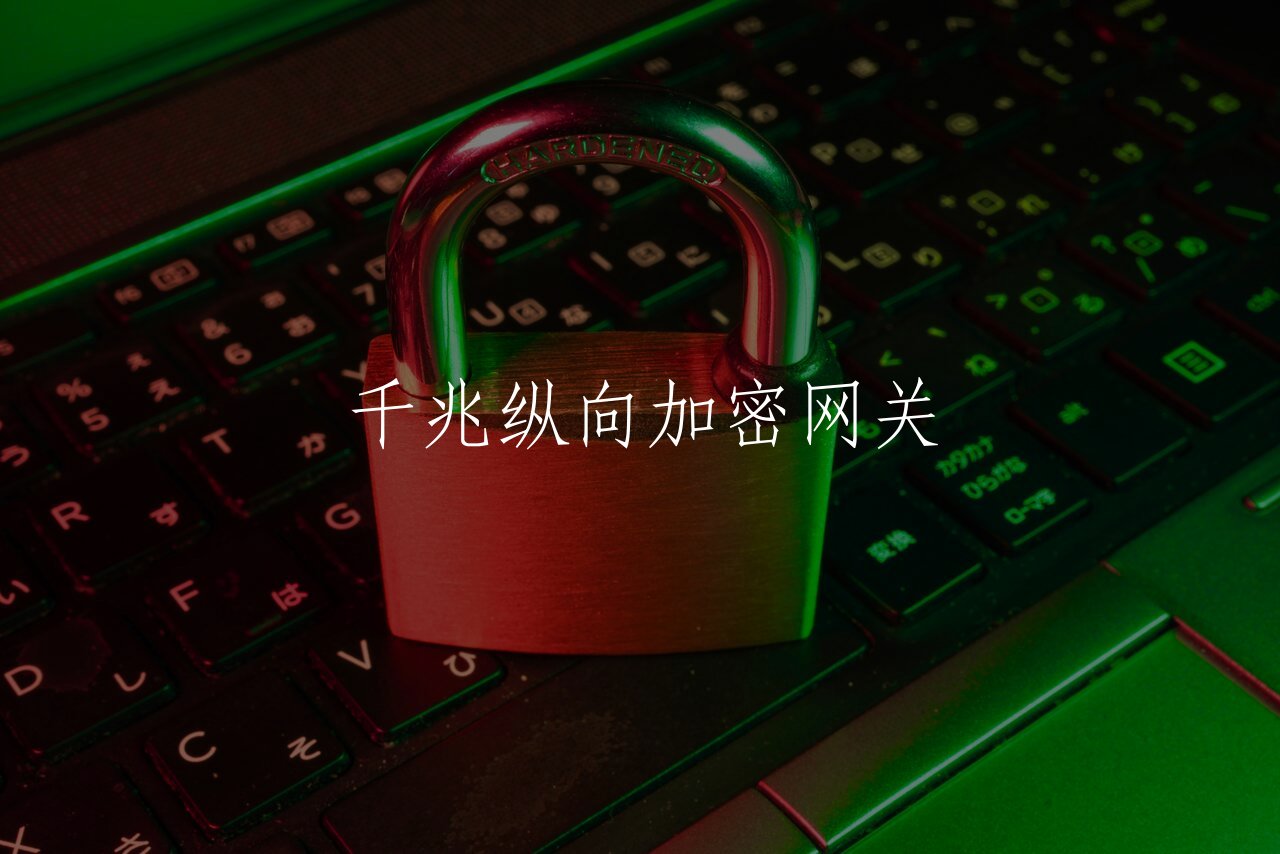 千兆纵向加密网关 核心概念图