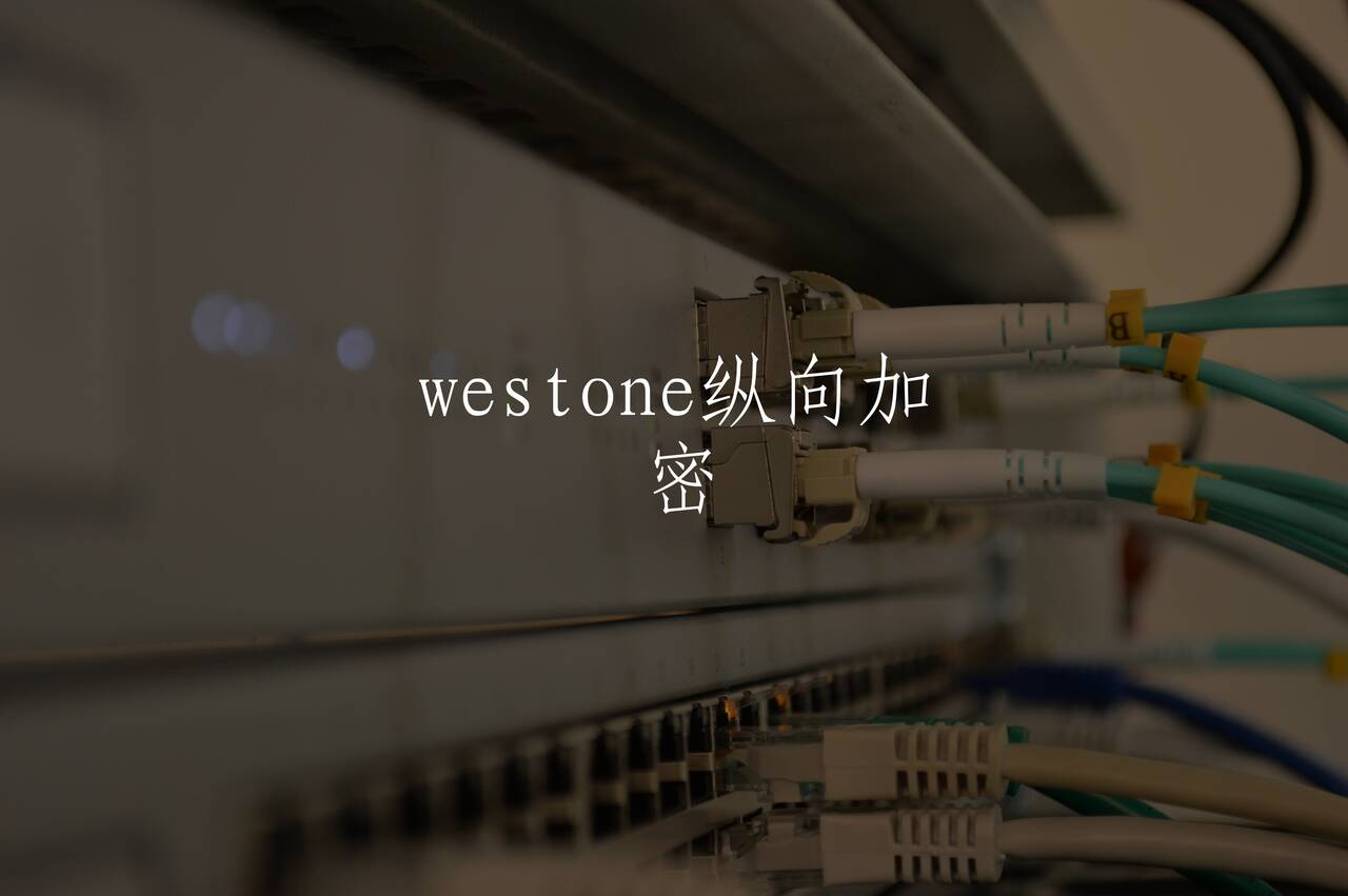 westone纵向加密 核心概念图