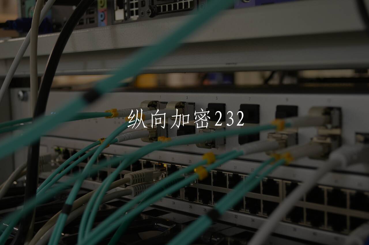 纵向加密232 核心概念图