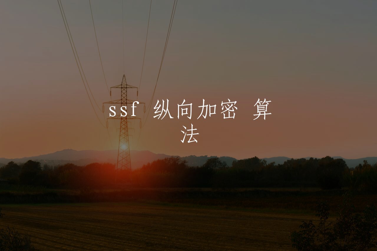 ssf 纵向加密 算法 核心概念图