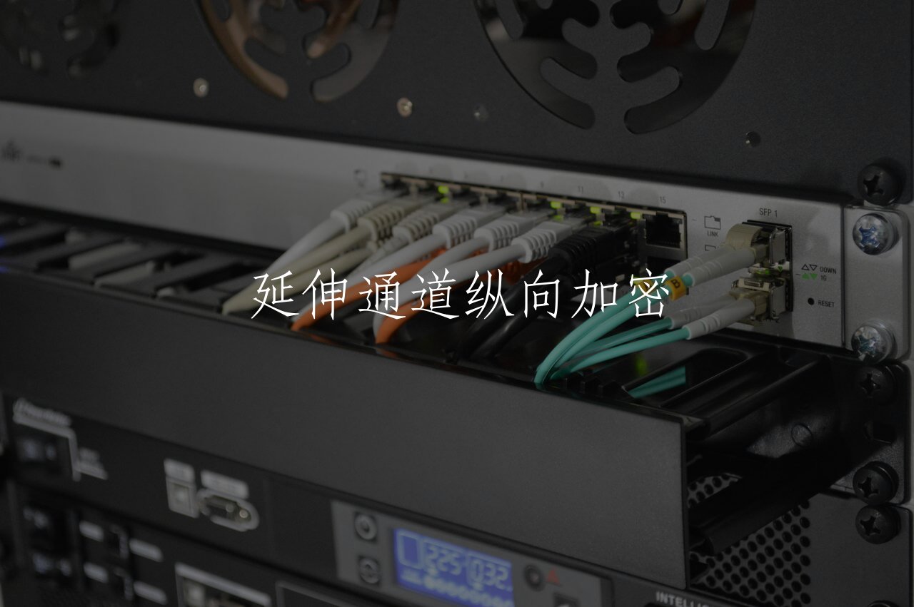 延伸通道纵向加密 核心概念图