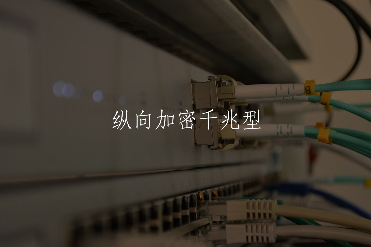 纵向加密千兆型 核心概念图
