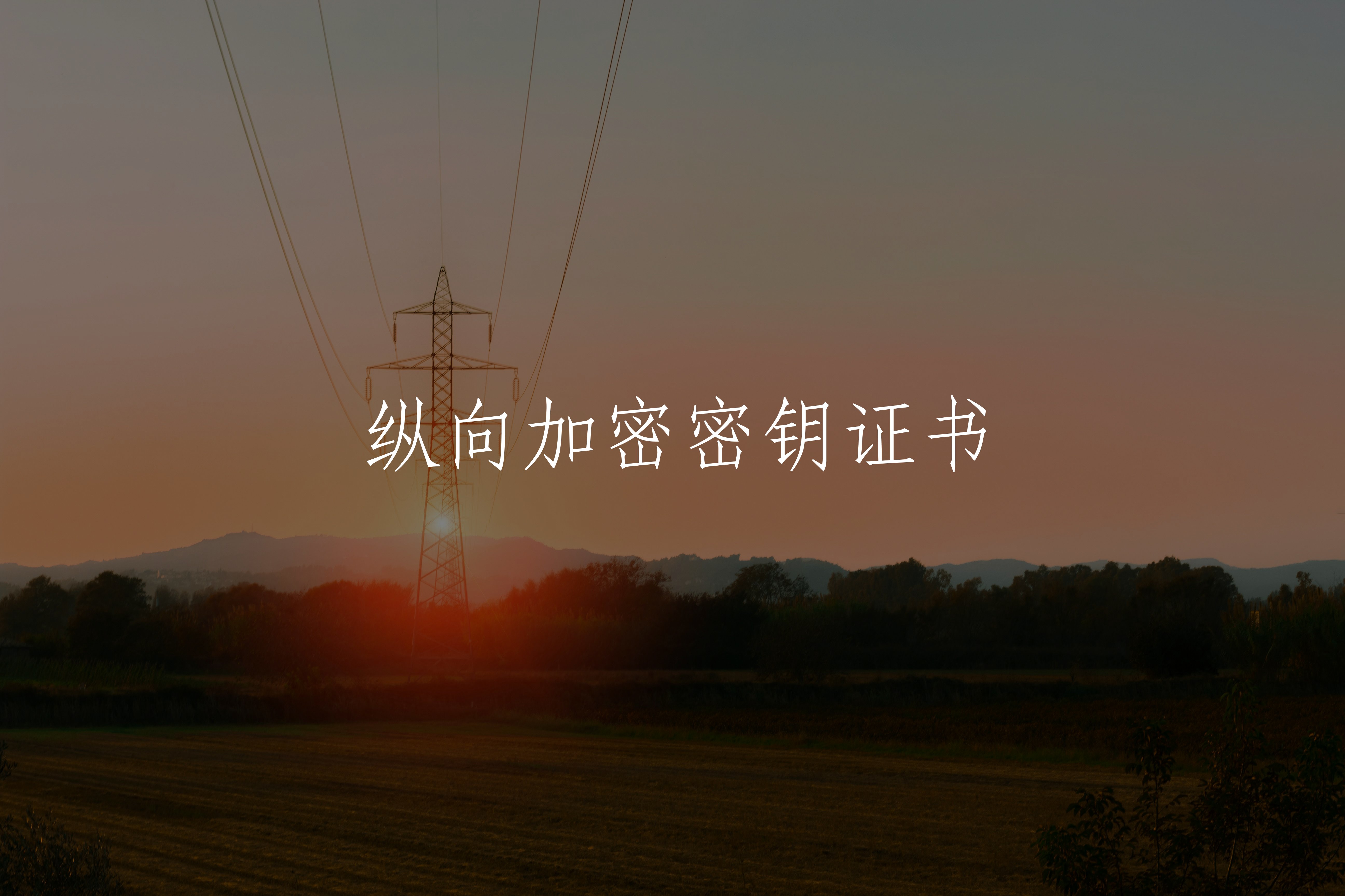 纵向加密密钥证书 核心概念图