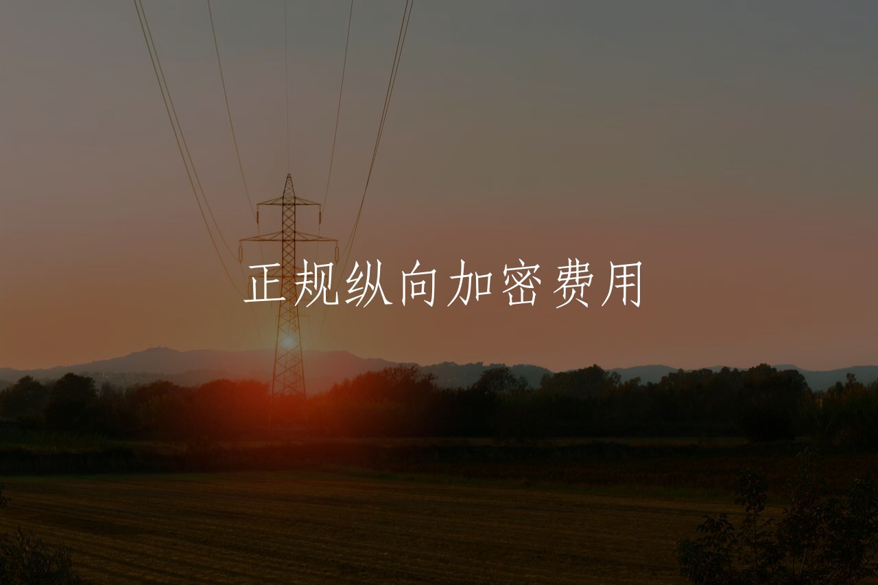 正规纵向加密费用 核心概念图