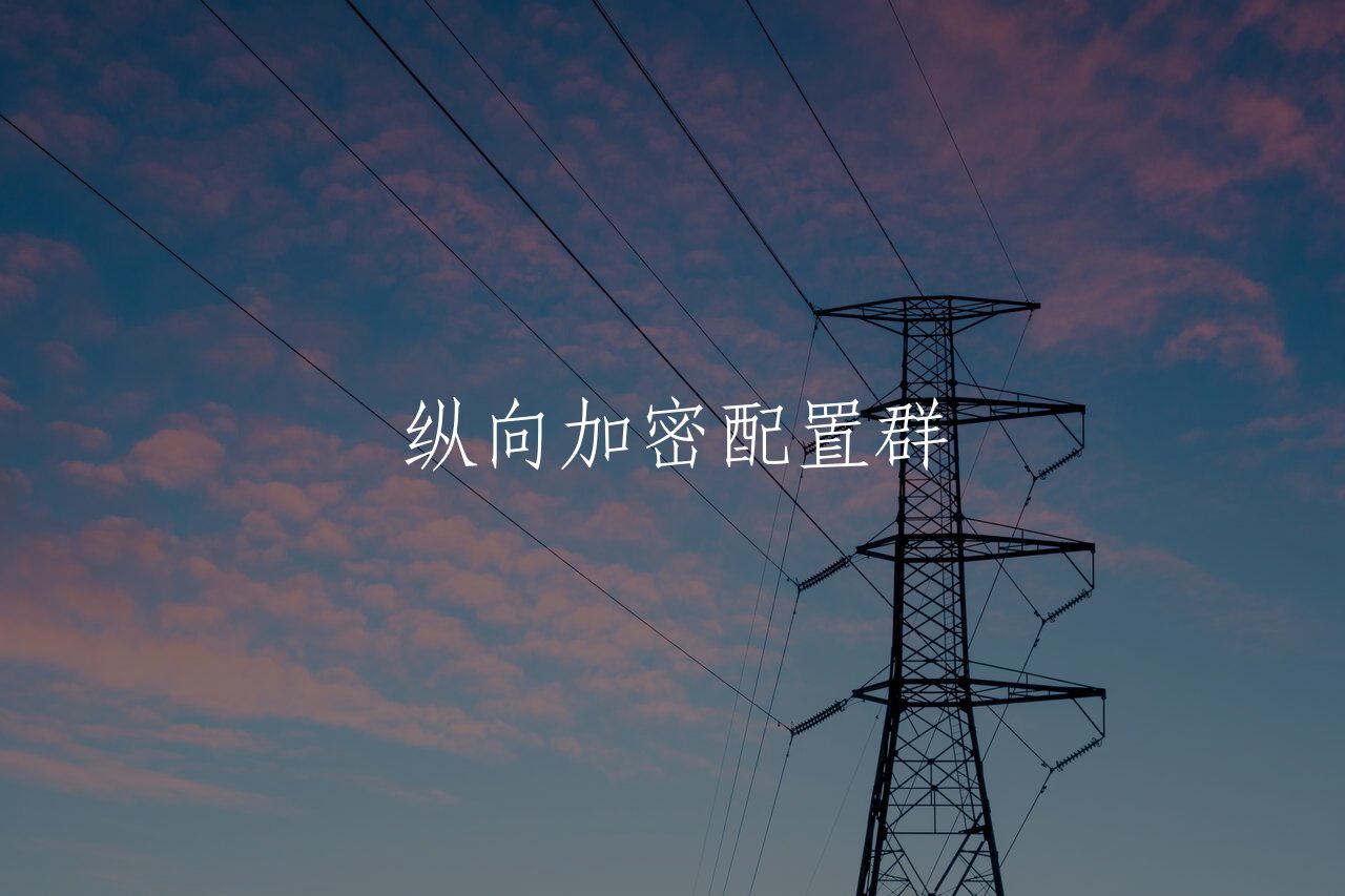 纵向加密配置群 核心概念图