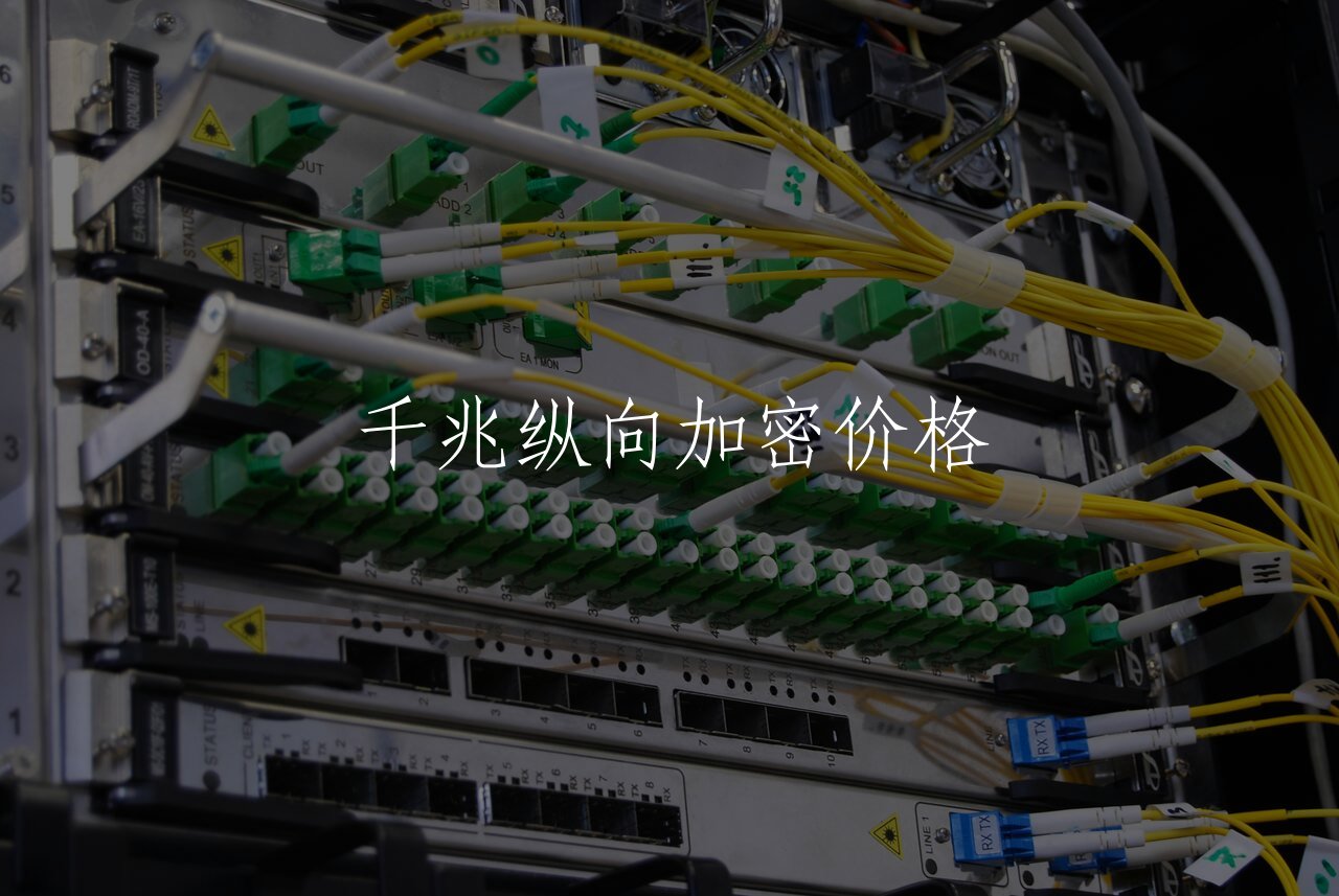 千兆纵向加密价格 核心概念图