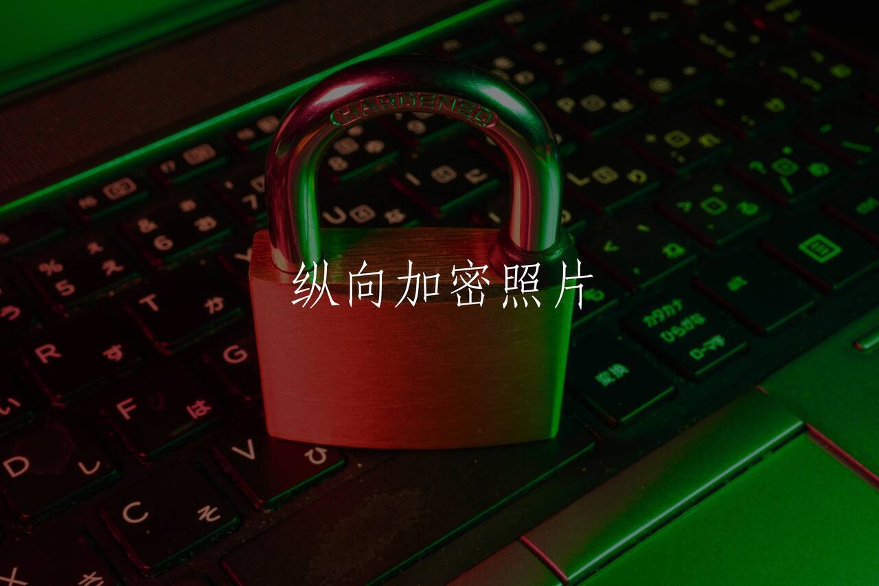 纵向加密照片 核心概念图