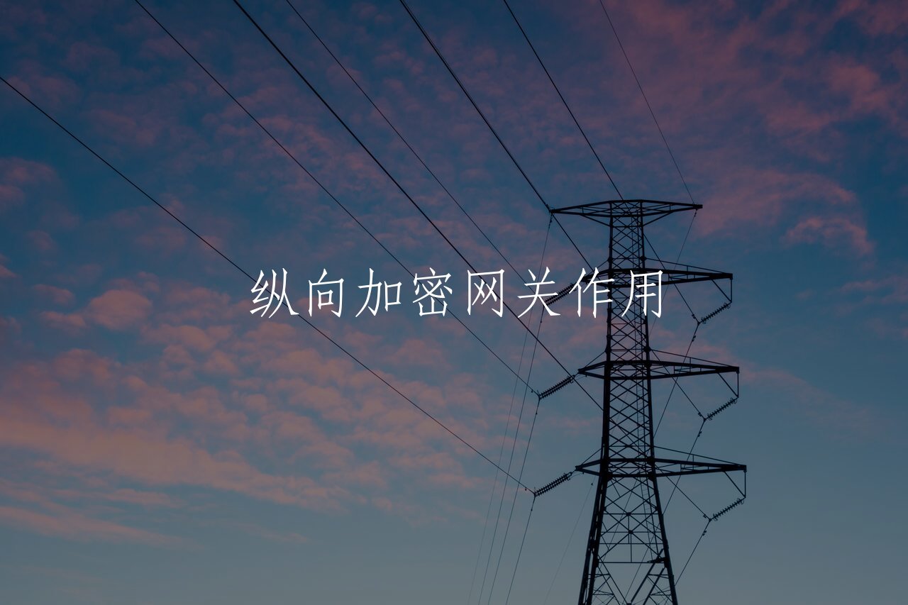 纵向加密网关作用 核心概念图