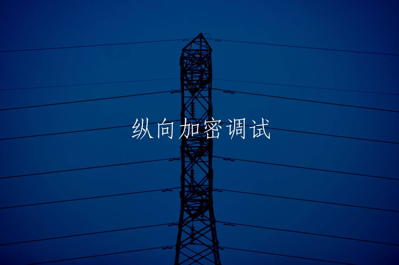 纵向加密调试 核心概念图