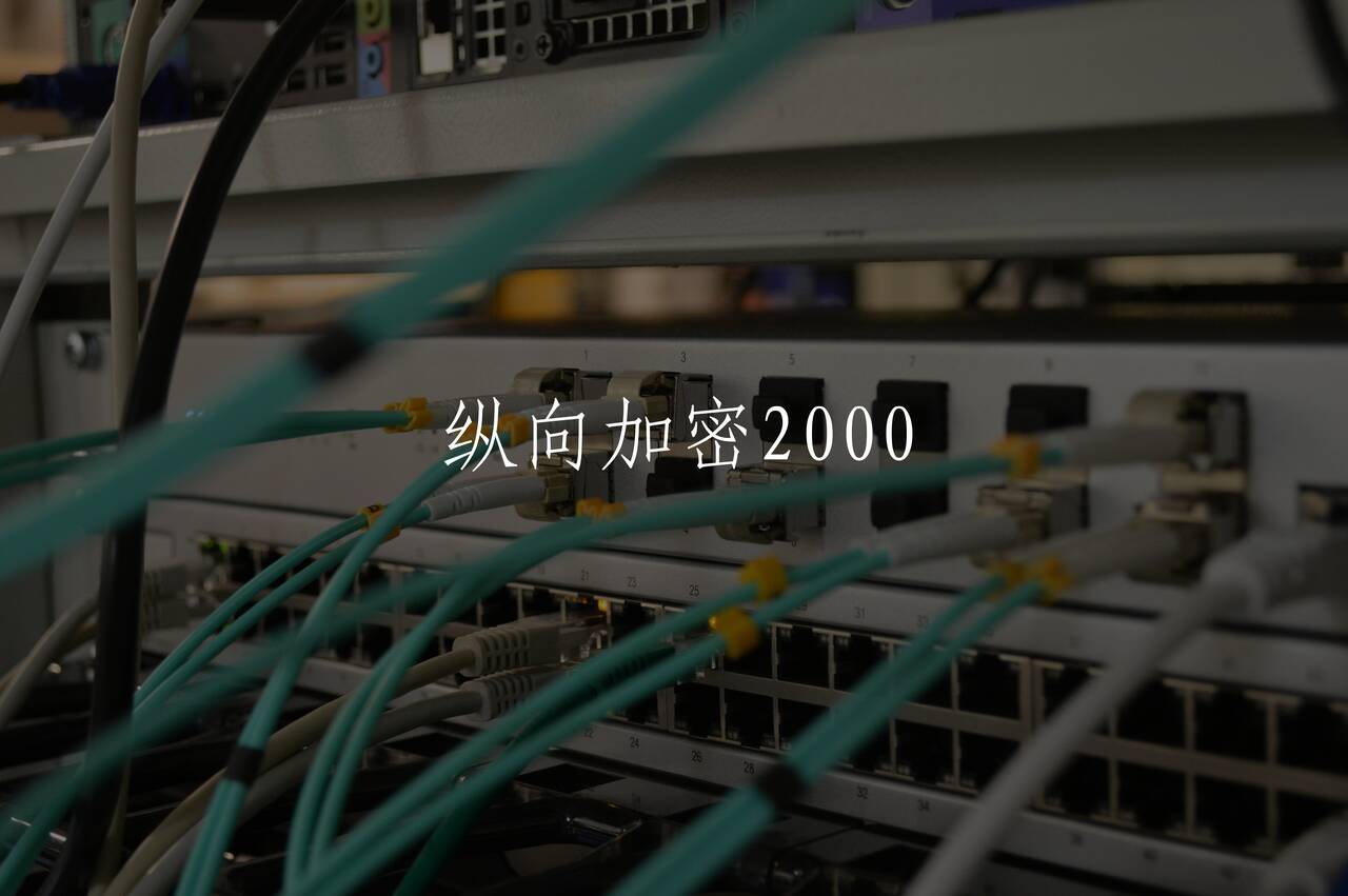 纵向加密2000 核心概念图