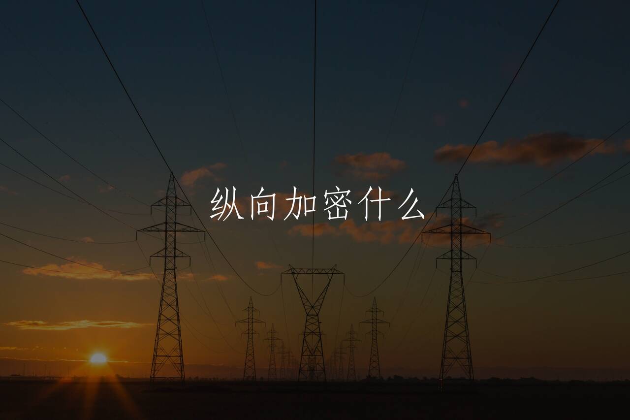 纵向加密什么 核心概念图