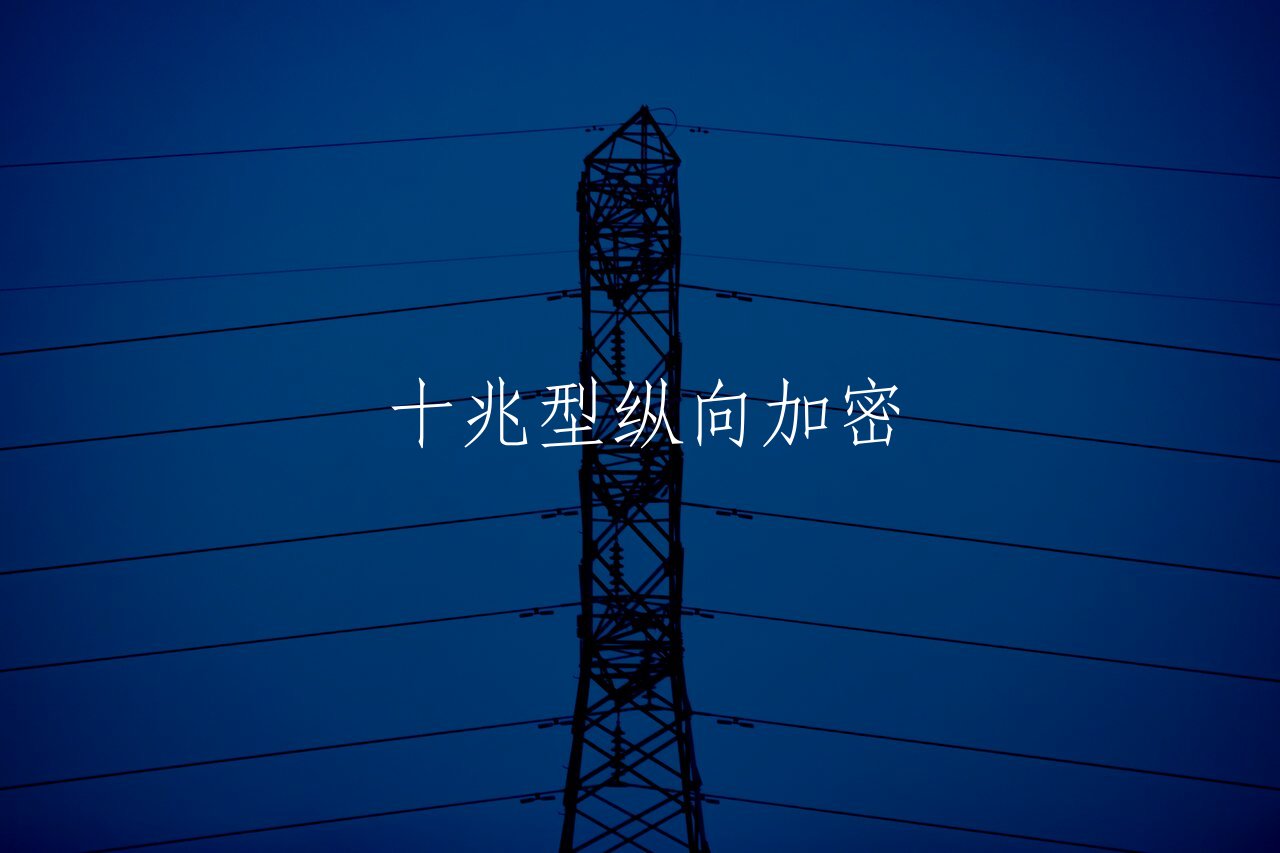 十兆型纵向加密 核心概念图