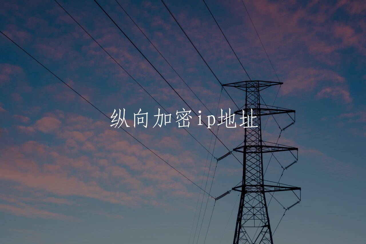 纵向加密ip地址 核心概念图