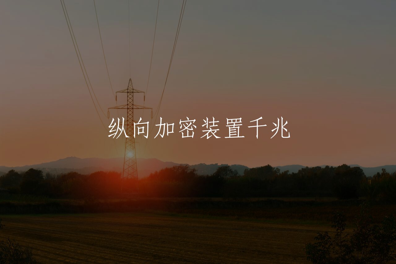 纵向加密装置千兆 核心概念图