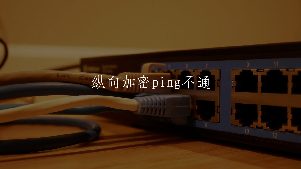 纵向加密ping不通 核心概念图