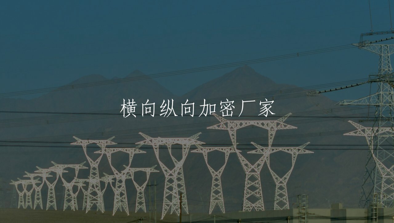 横向纵向加密厂家 核心概念图