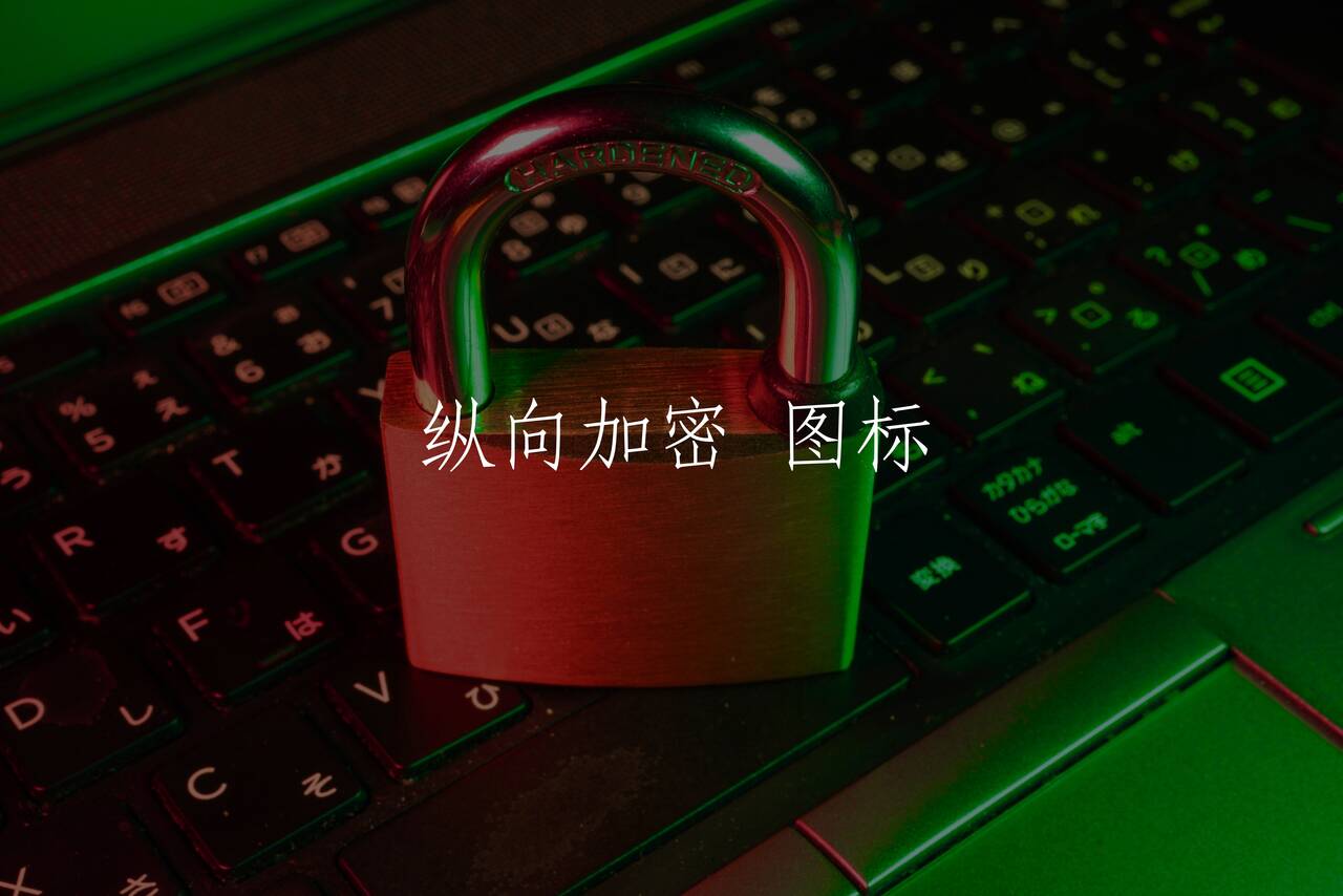 纵向加密 图标 核心概念图