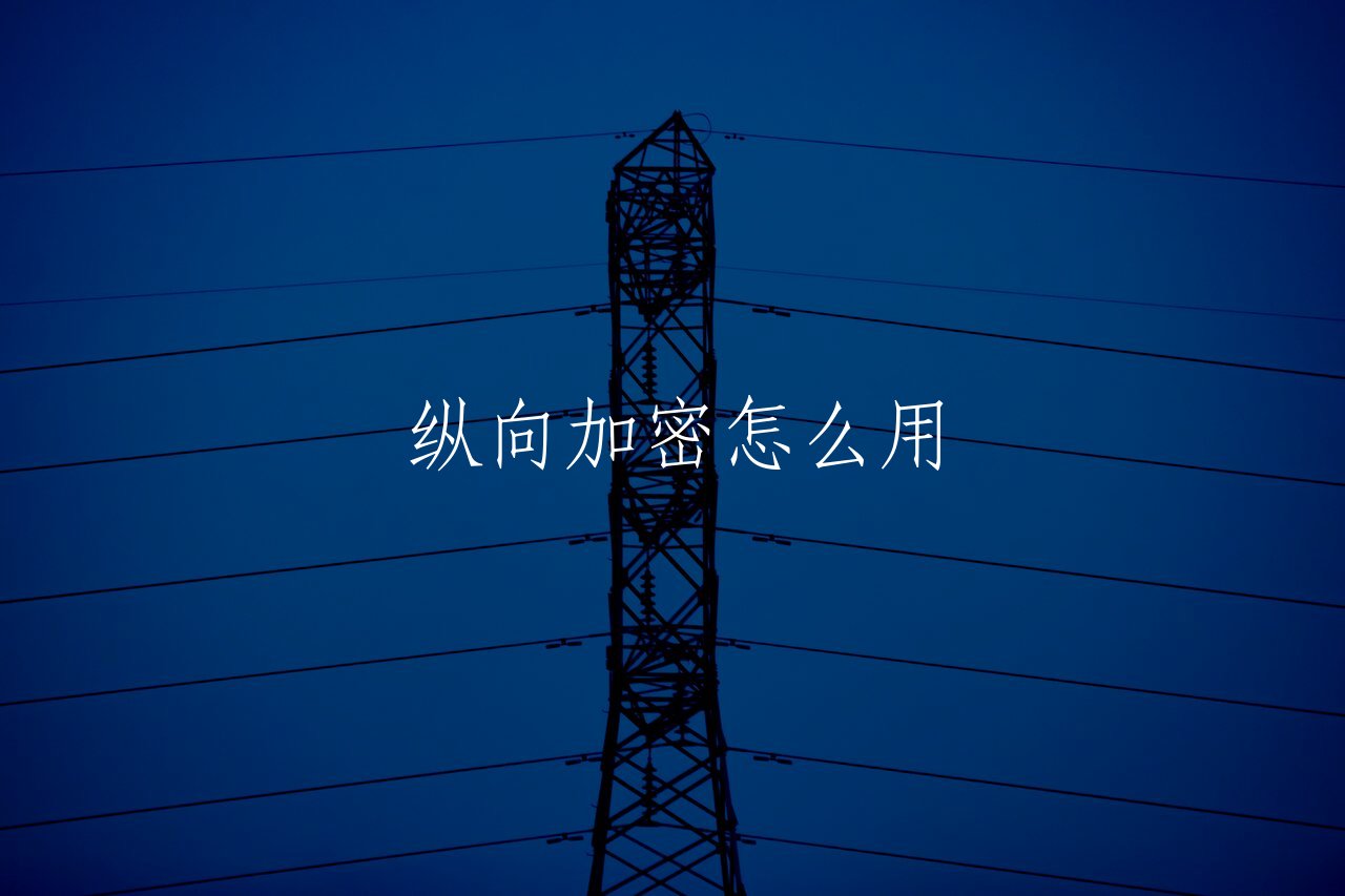 纵向加密怎么用 核心概念图