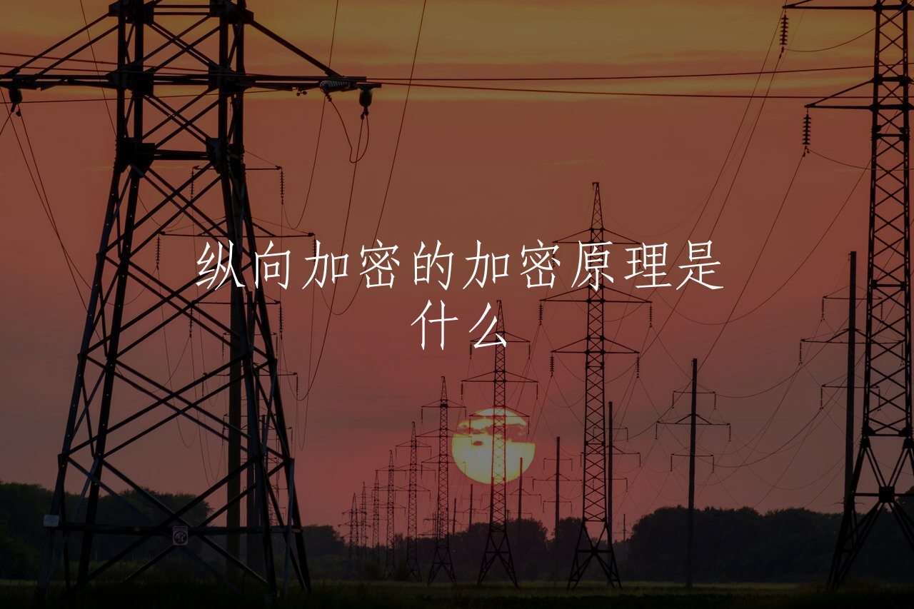 纵向加密的加密原理是什么 核心概念图