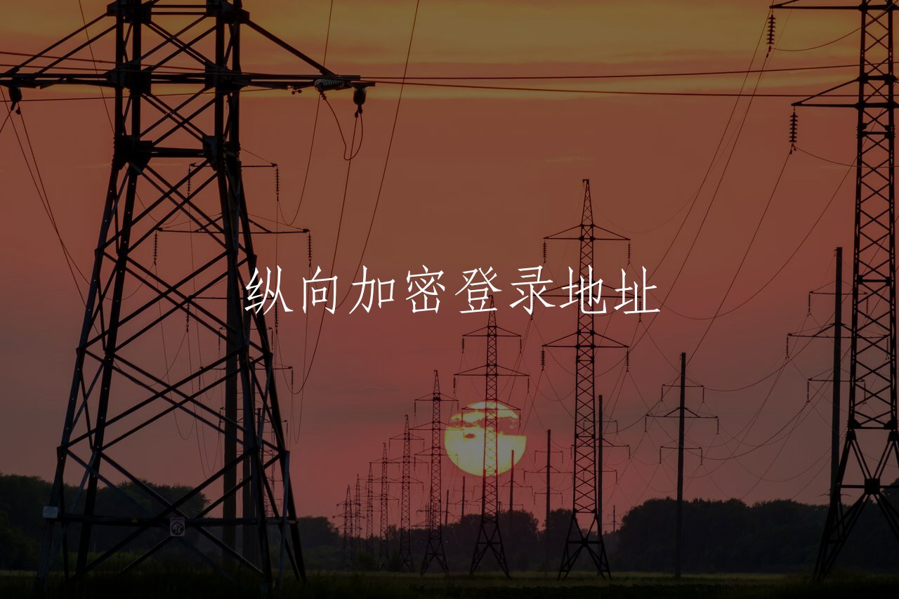 纵向加密登录地址 核心概念图