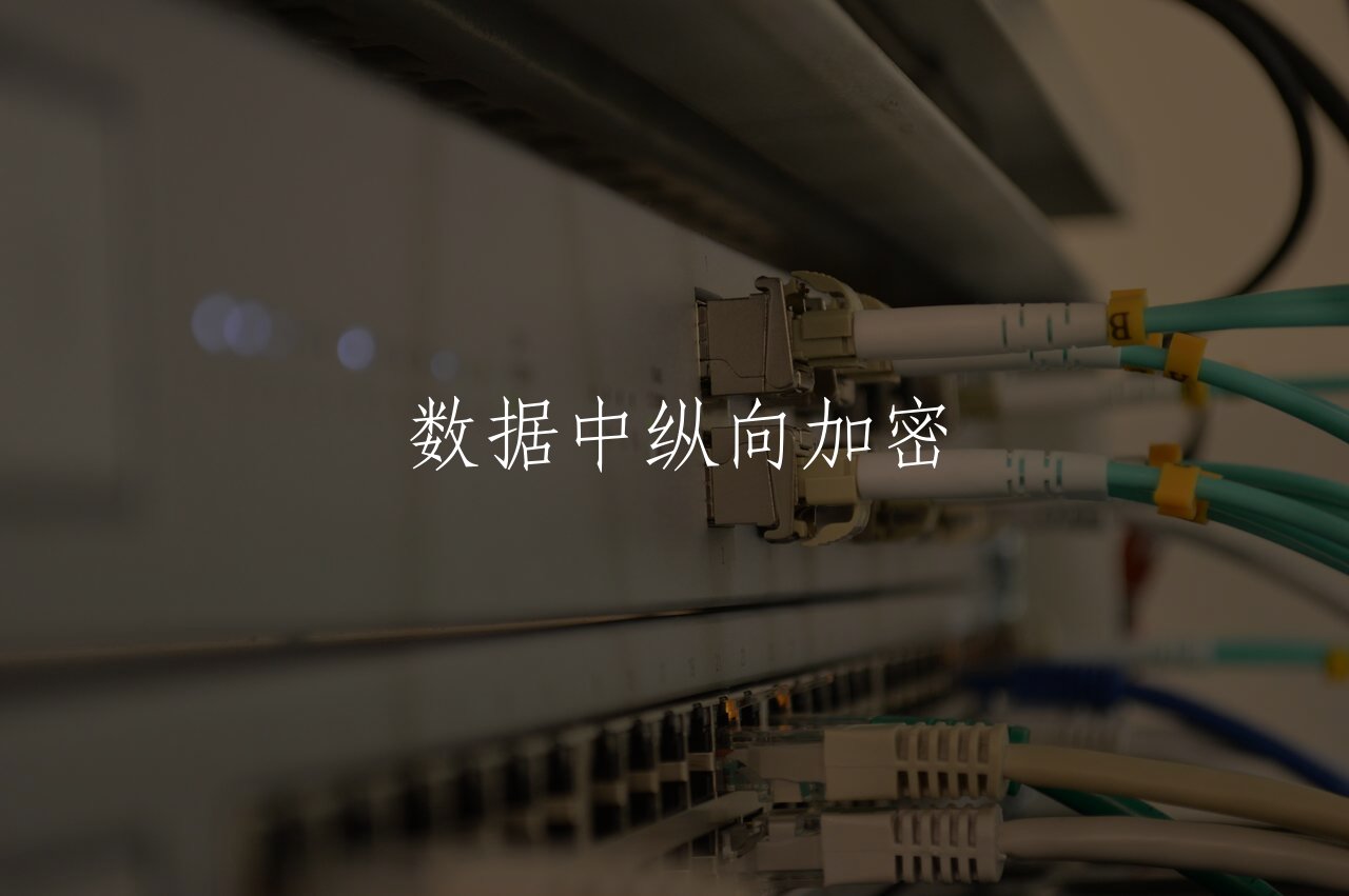 数据中纵向加密 核心概念图