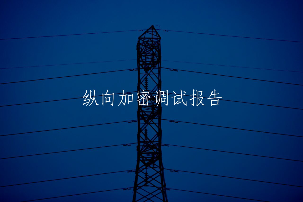 纵向加密调试报告 核心概念图