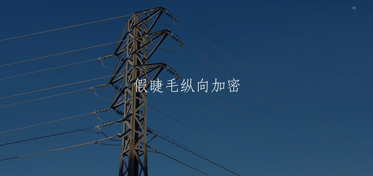 假睫毛纵向加密 核心概念图