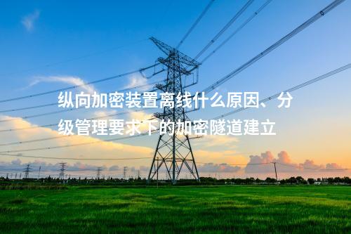 调度数据网屏离线什么原因、分级管理要求下的加密隧道建立