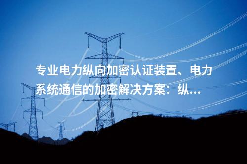 专业电力调度数据网设备、电力系统通信的加密解决方案：二次安防设备屏