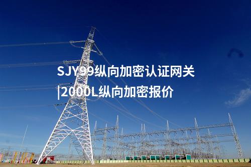 SJY99纵向加密认证网关|2000L纵向加密报价