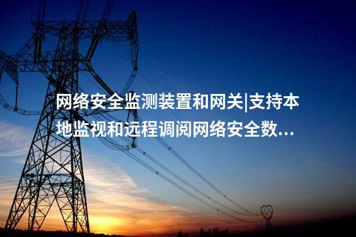 网络安全监测装置和网关|支持本地监视和远程调阅网络安全数据。