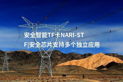 安全智能TF卡NARI-STF|安全芯片支持多个独立应用