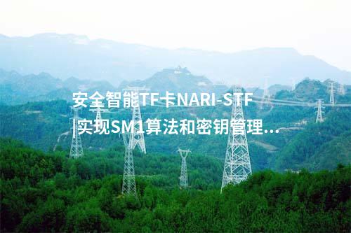 安全智能TF卡NARI-STF|实现SM1算法和密钥管理功能