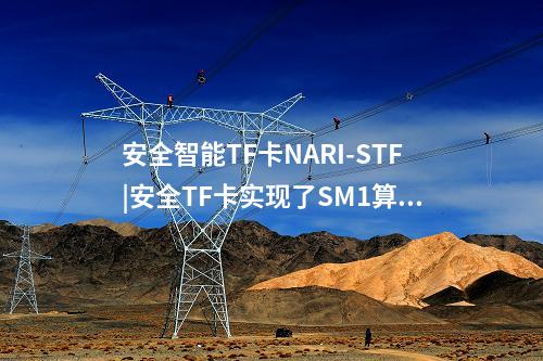 安全智能TF卡NARI-STF|安全TF卡实现了SM1算法的加解密