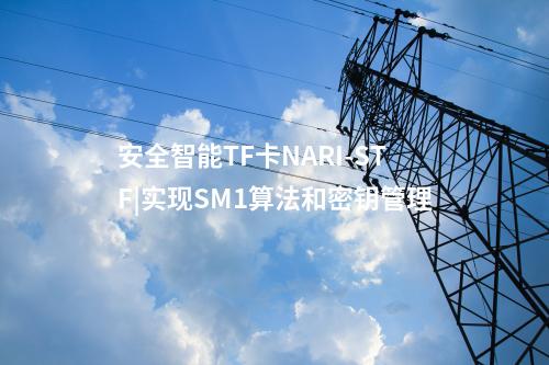 安全智能TF卡NARI-STF|实现SM1算法和密钥管理