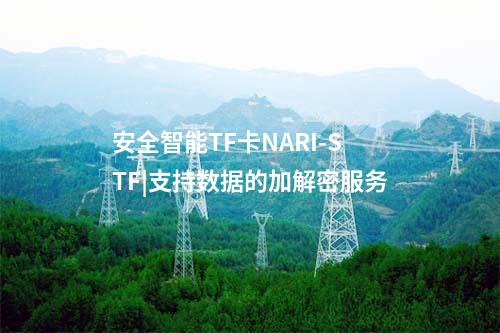 安全智能TF卡NARI-STF|支持数据的加解密服务