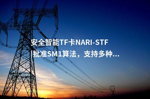 安全智能TF卡NARI-STF|批准SM1算法，支持多种密码