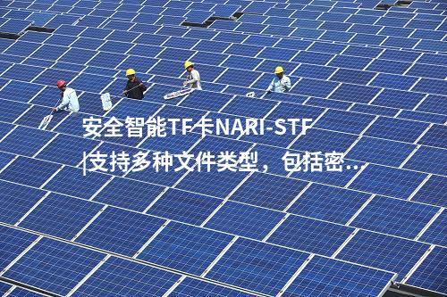 安全智能TF卡NARI-STF|支持多种文件类型，包括密钥文件