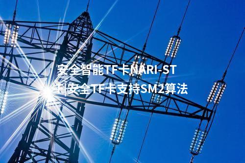 安全智能TF卡NARI-STF|安全TF卡支持SM2算法